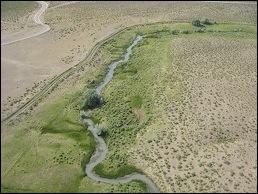 Springs at Nevada/Utah stateline